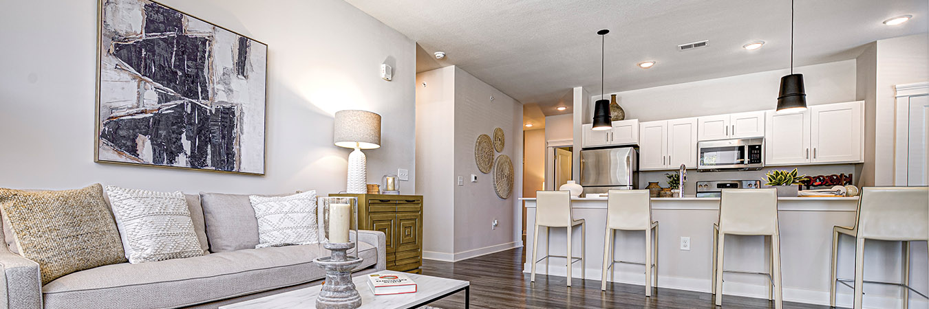 View of living room and kitchen in open-concept apartment